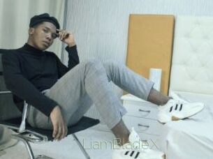 LiamBladeX