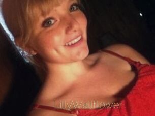 LillyWallflower