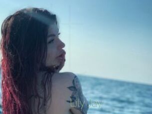Lily_Jay