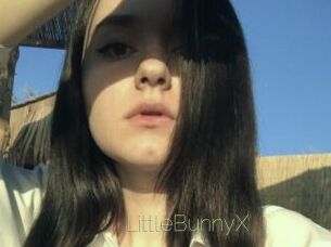 LittleBunnyX Visio Tchats