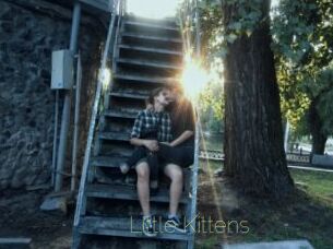 Little_Kittens