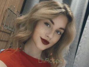 LivRosee Visio Tchats