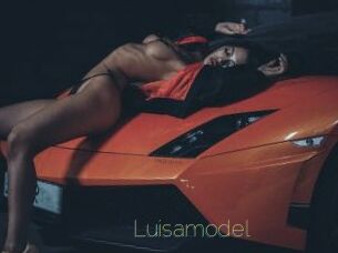 Luisamodel