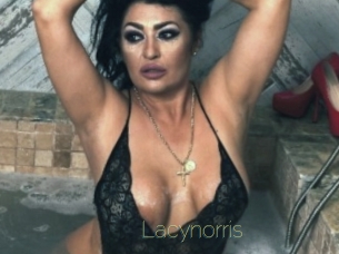 Lacynorris