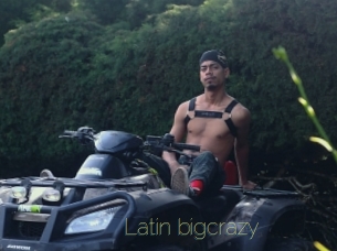 Latin_bigcrazy