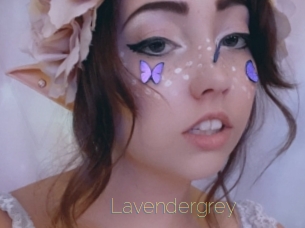 Lavendergrey