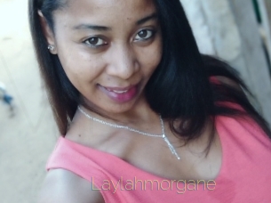 Laylahmorgane