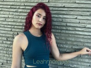 Leahmorgaan