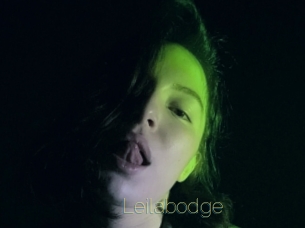 Leilabodge