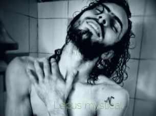 Lepus_mystical