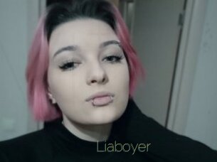 Liaboyer