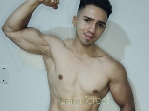 liam_forest Visio Tchats