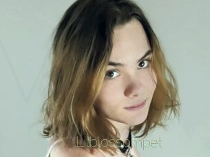 Lilblossompet