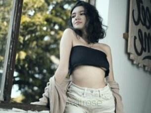 Lilitrose