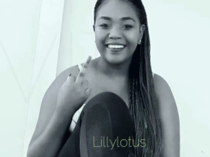 Lillylotus