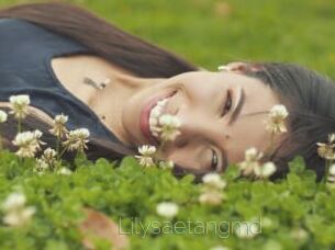 Lilysaetangmd