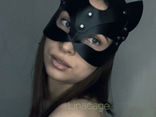 Linacage