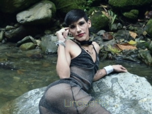 Lincisoffia