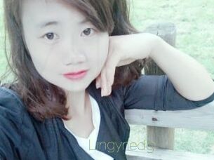 Lingynedg