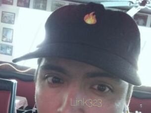 Link323