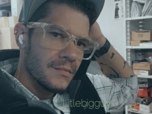 Litlebigguy