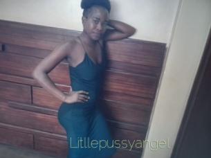Litllepussyangel