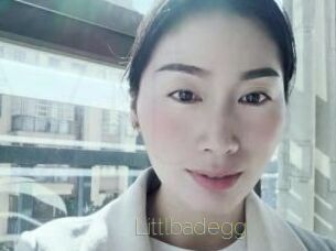 Littlbadegg