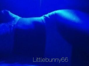 Littlebunny66