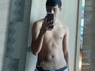 Littledamiian