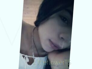 LittleflowerTS