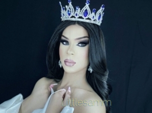Littlesamm