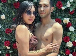 Lizyandmarks