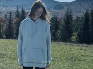 Lladybugg
