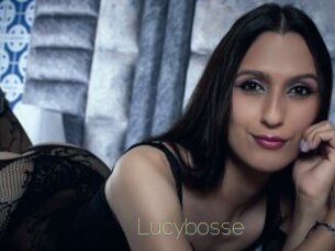 Lucybosse