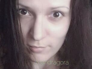 Mandragora