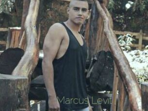 Marcus_Levit