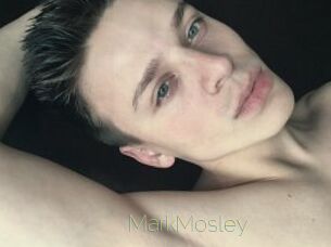 MarkMosley Visio Tchats