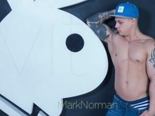 MarkNorman Visio Tchats