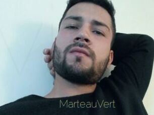 MarteauVert Visio Tchats