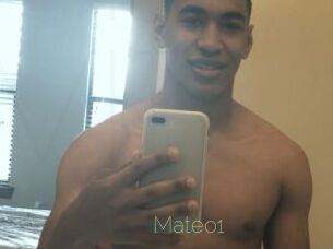 Mateo1