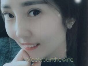Meetyouinthewind
