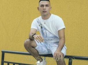 MikeSantodomingo