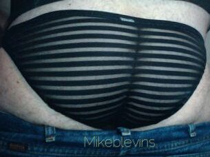 Mikeblevins