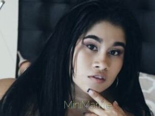 MiniMarkle