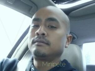 Minipete