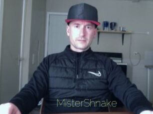 MisterShnake