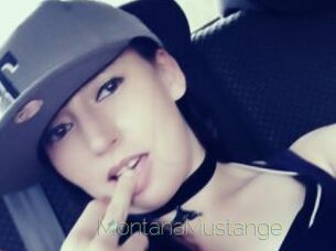 MontanaMustange Visio Tchats