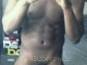 MrBlackMamba24