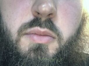 MrHairyJr