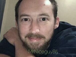 MrNiceguy85